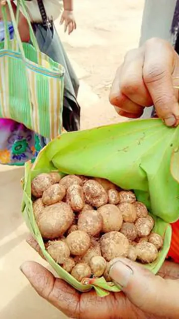 Traditional food from Chhattisgarh you Picture