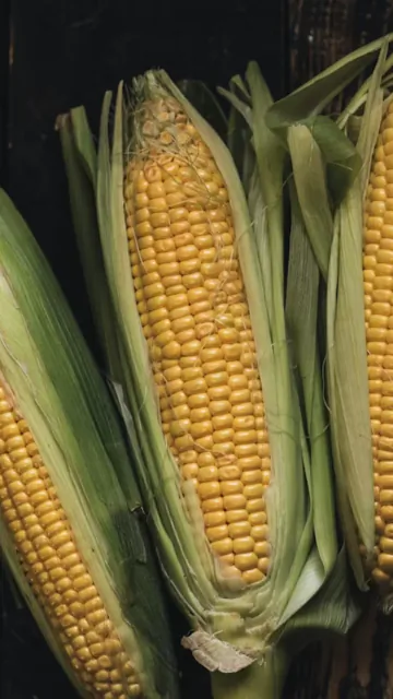Underrated corn dishes you need Picture