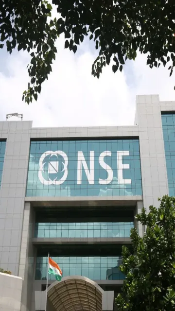 Who Owns NSE? Top Shareholders Picture