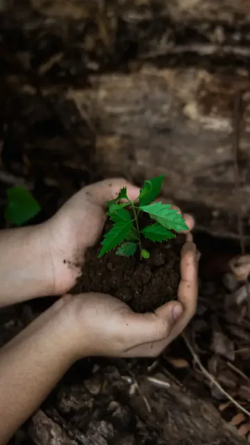 World Nature Conservation Day 2026: Picture
